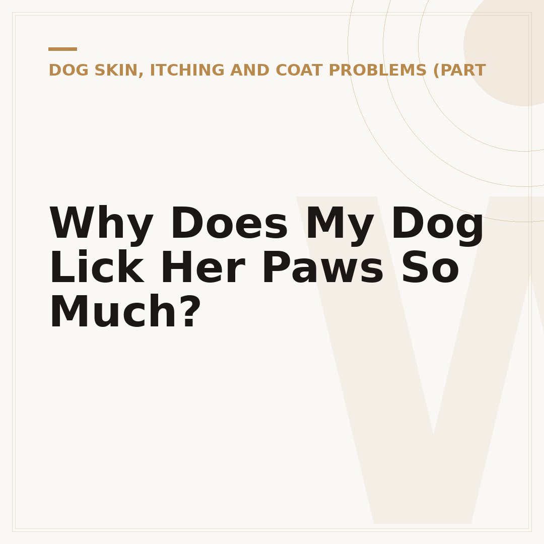 Why Does My Dog Lick Her Paws So Much?