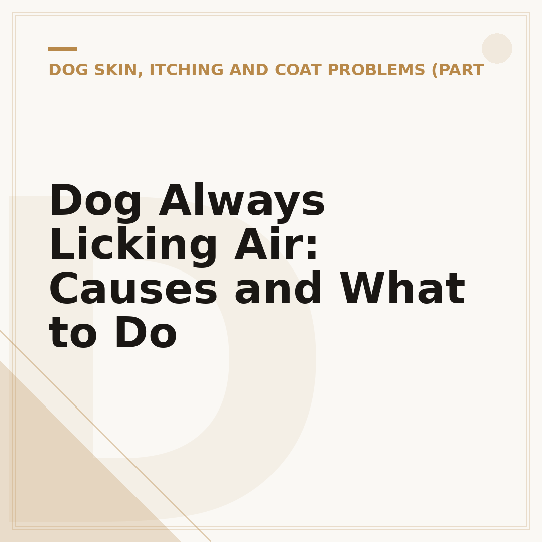 Dog Always Licking Air: Causes and What to Do