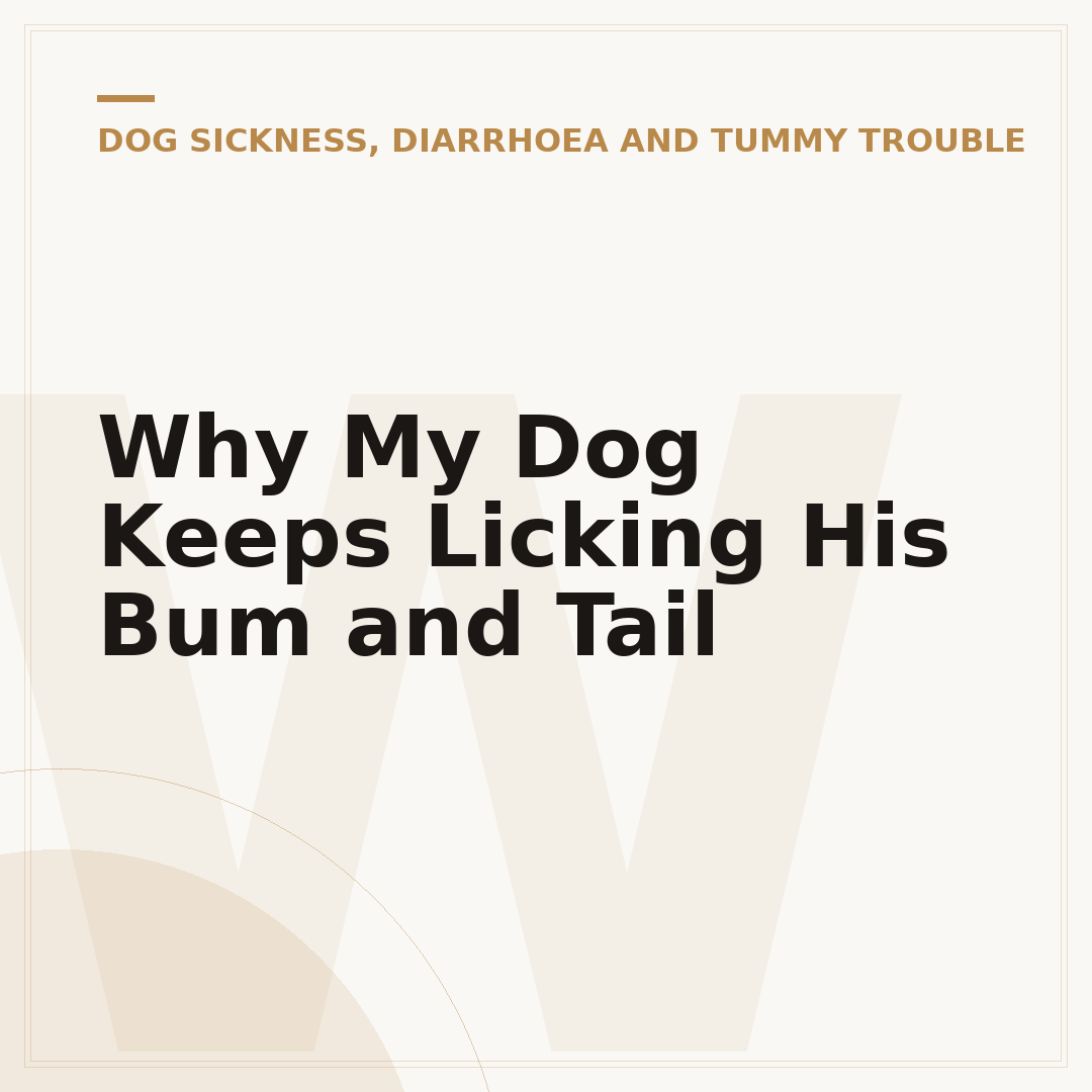 Why My Dog Keeps Licking His Bum and Tail