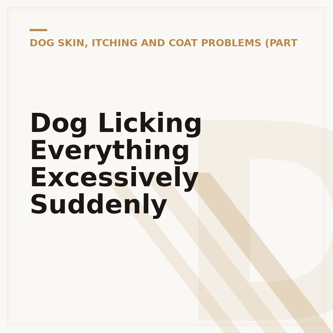 Dog Licking Everything Excessively Suddenly