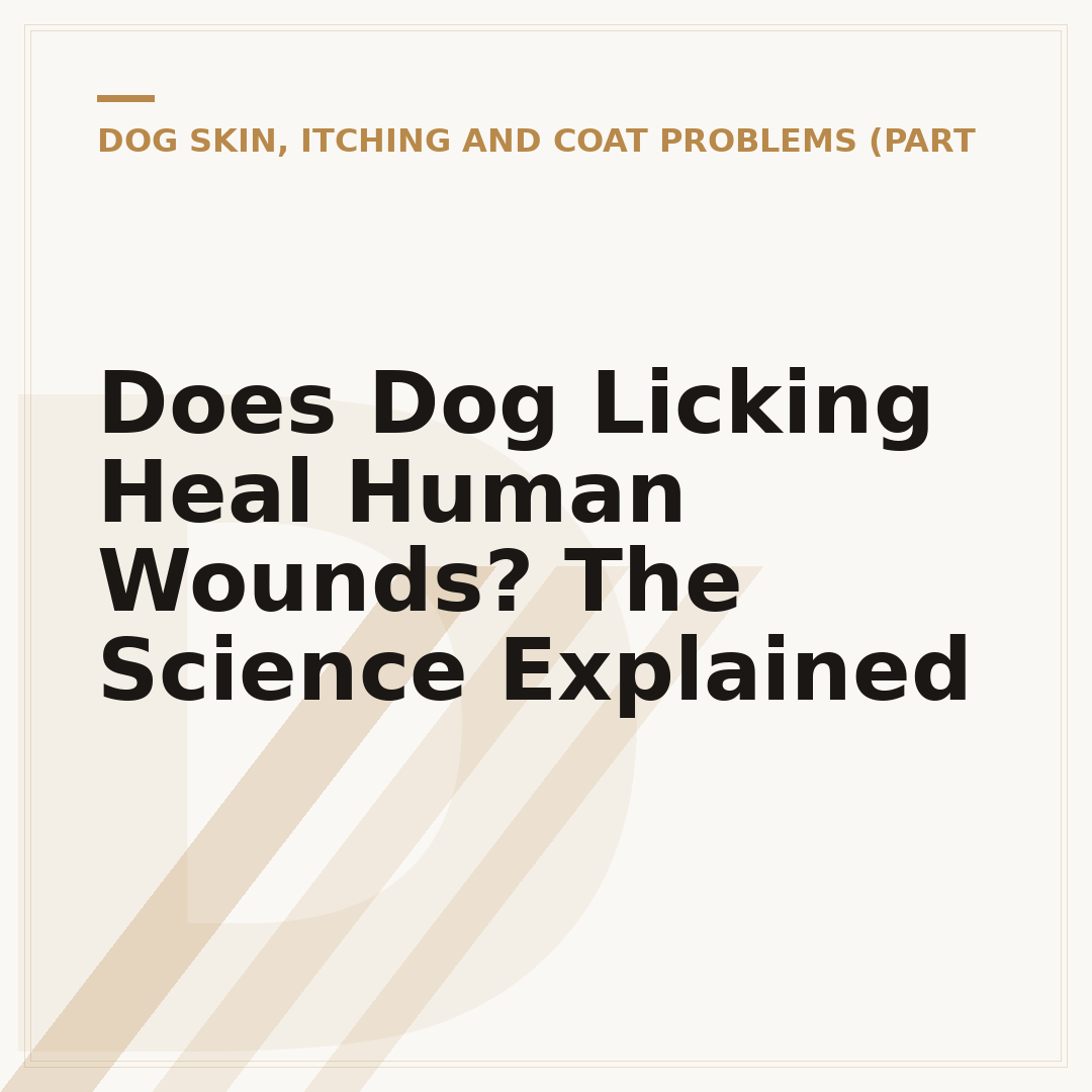 Does Dog Licking Heal Human Wounds? The Science Explained