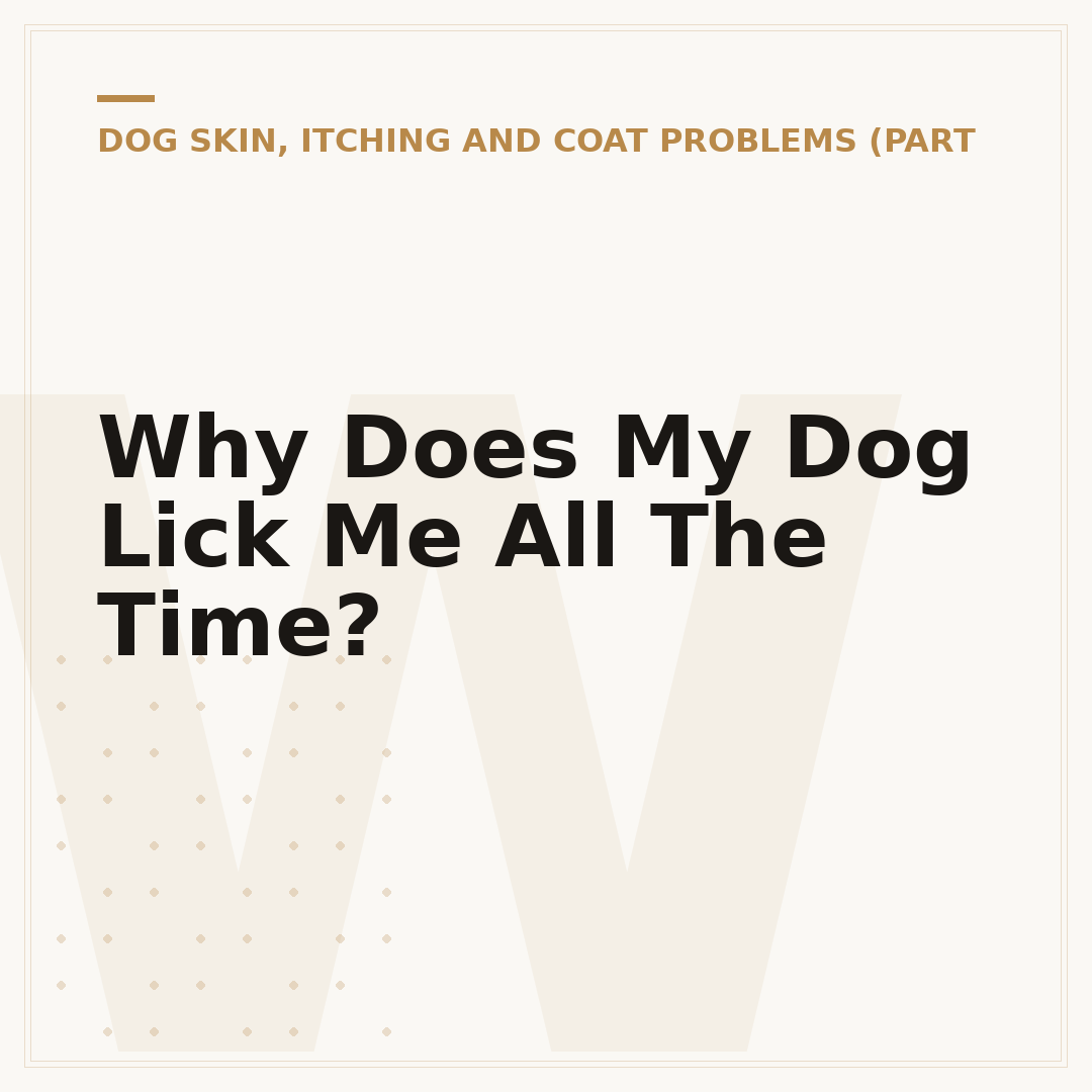 Why Does My Dog Lick Me All The Time?