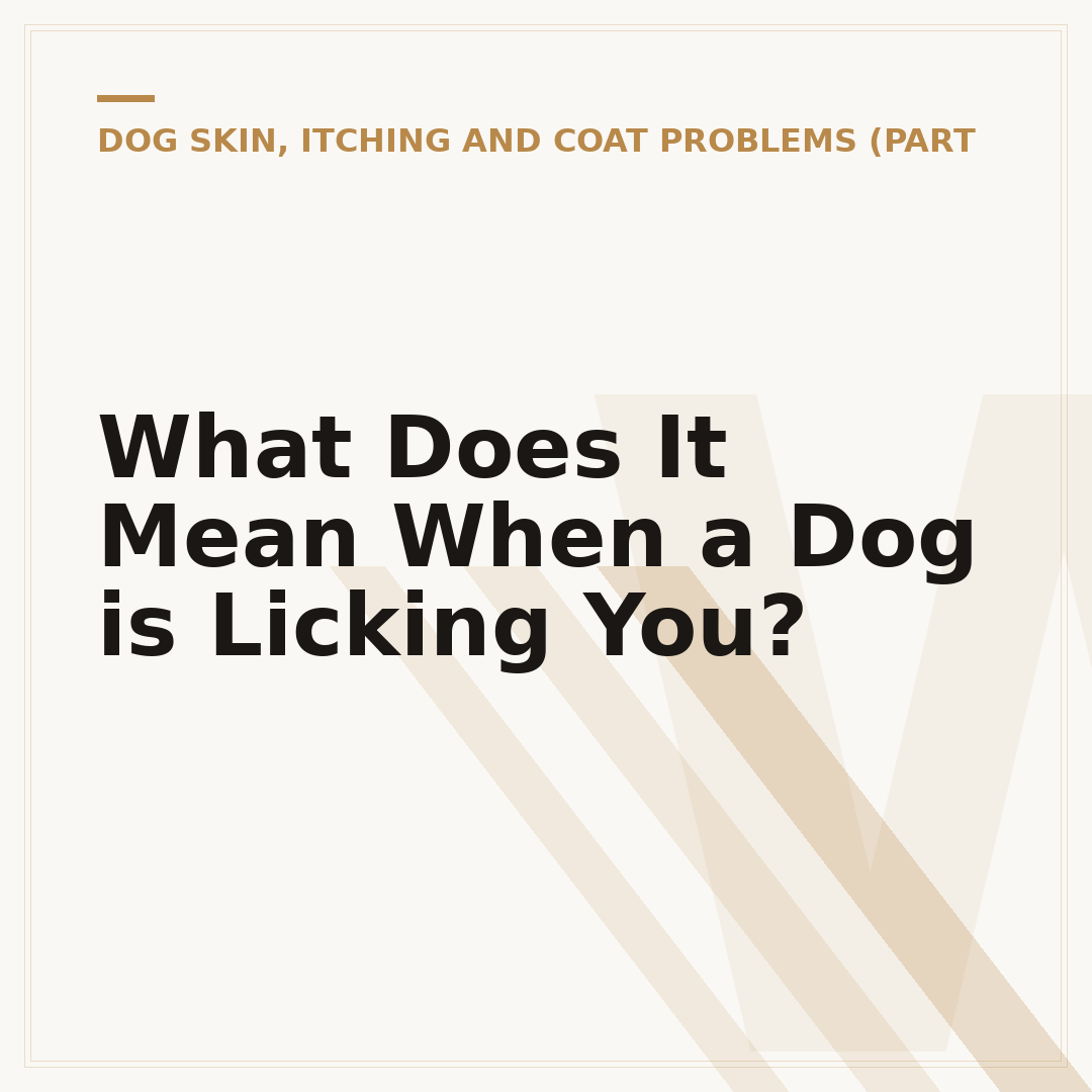 What Does It Mean When a Dog is Licking You?