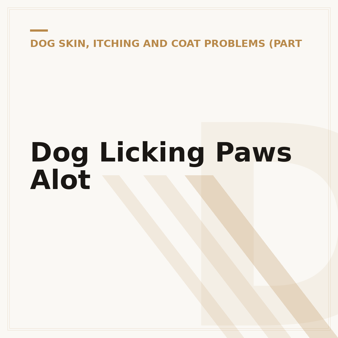 Dog Licking Paws Alot