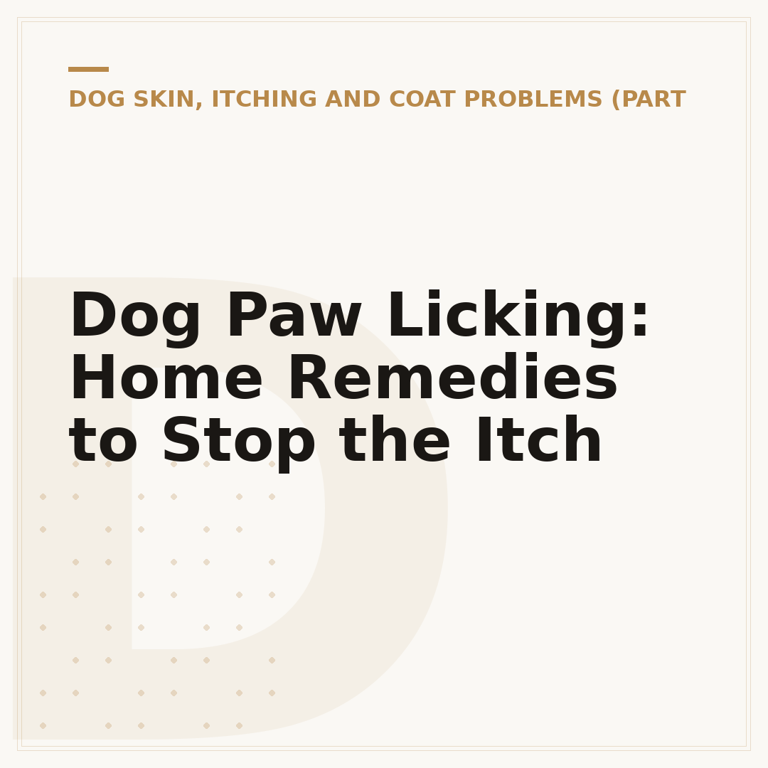 Dog Paw Licking: Home Remedies to Stop the Itch