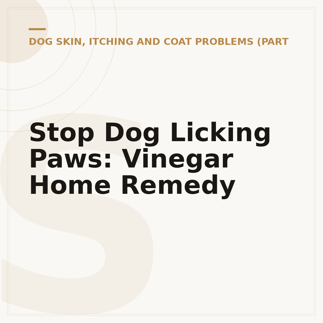 Stop Dog Licking Paws: Vinegar Home Remedy