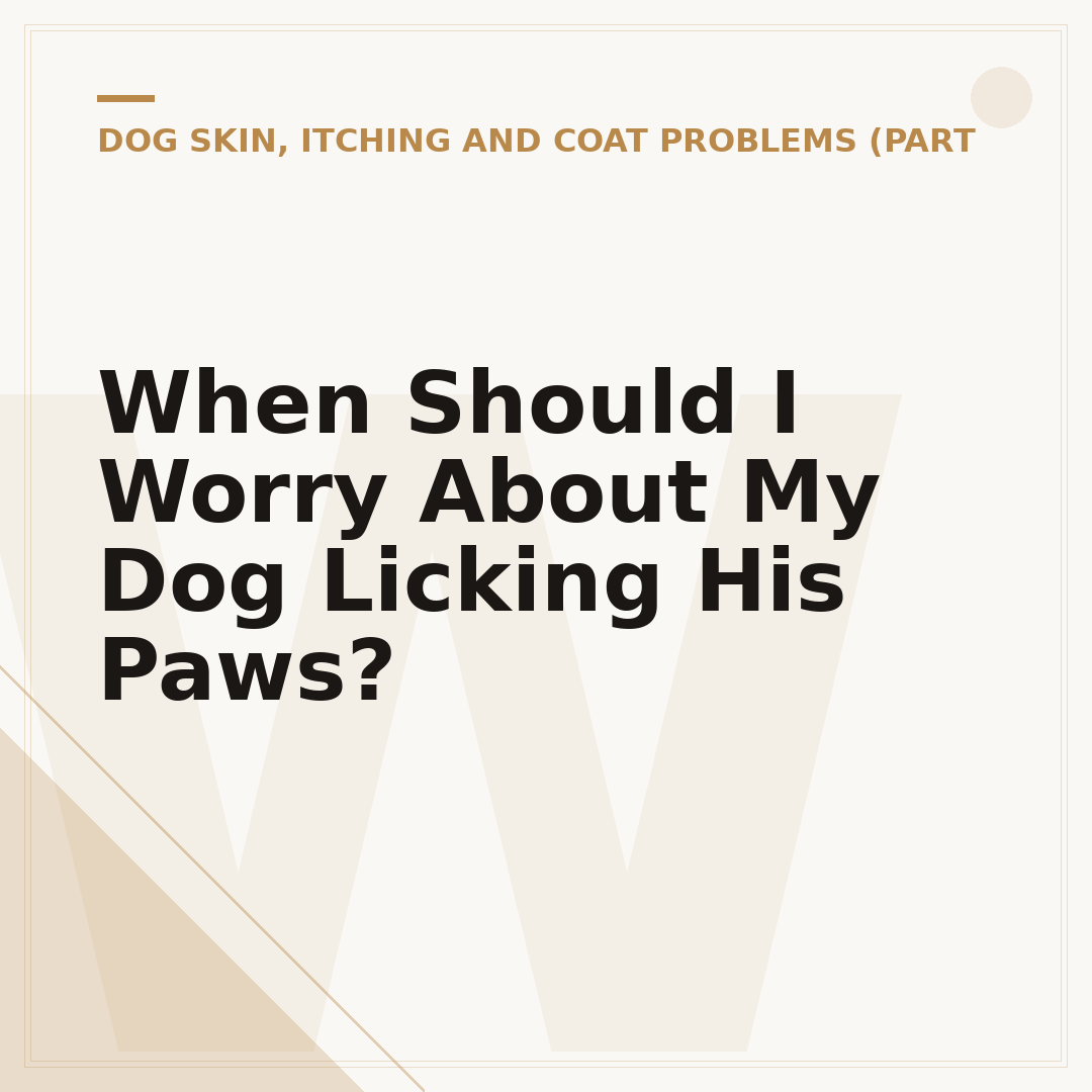 When Should I Worry About My Dog Licking His Paws?