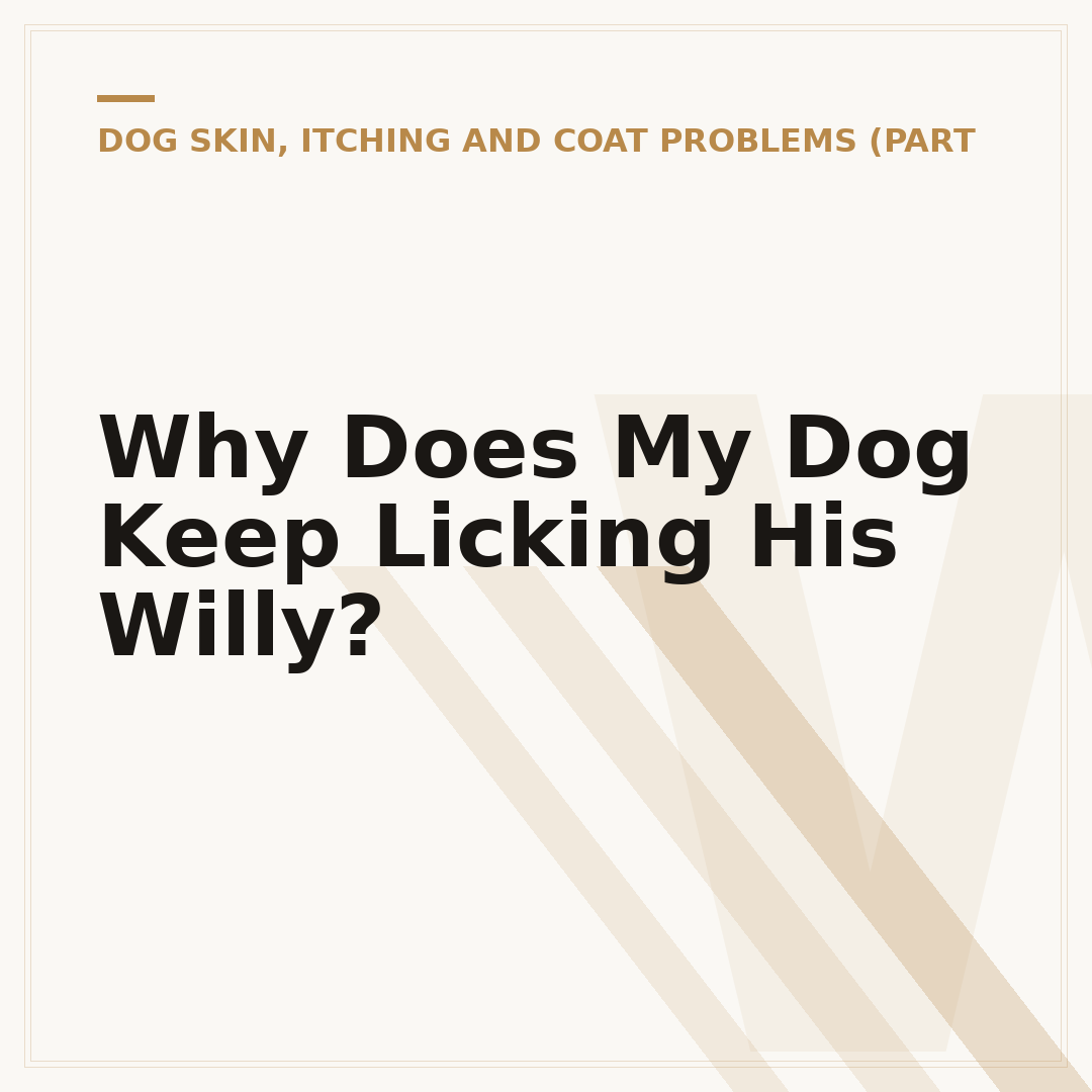 Why Does My Dog Keep Licking His Willy?