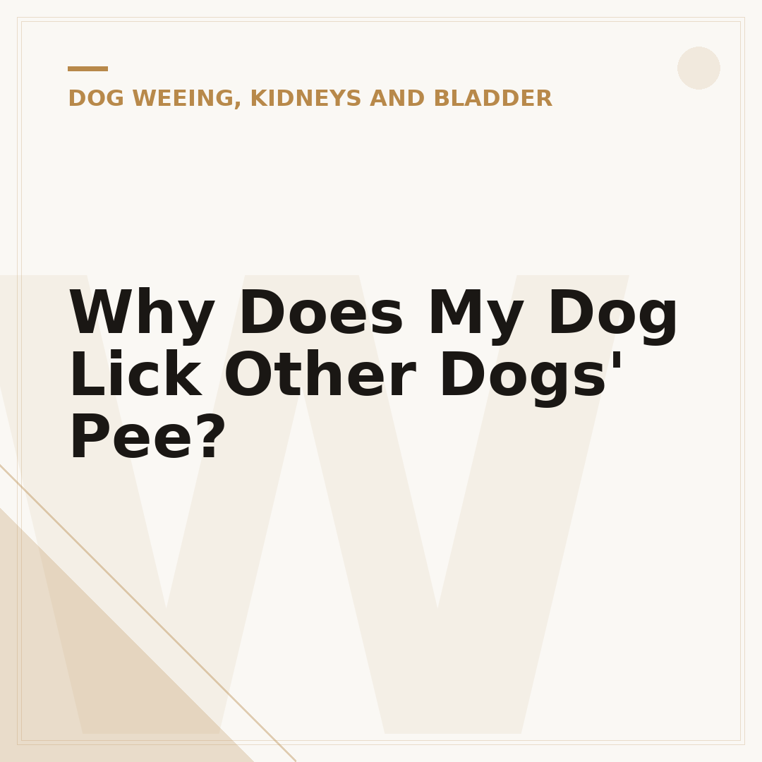 Why Does My Dog Lick Other Dogs' Pee?