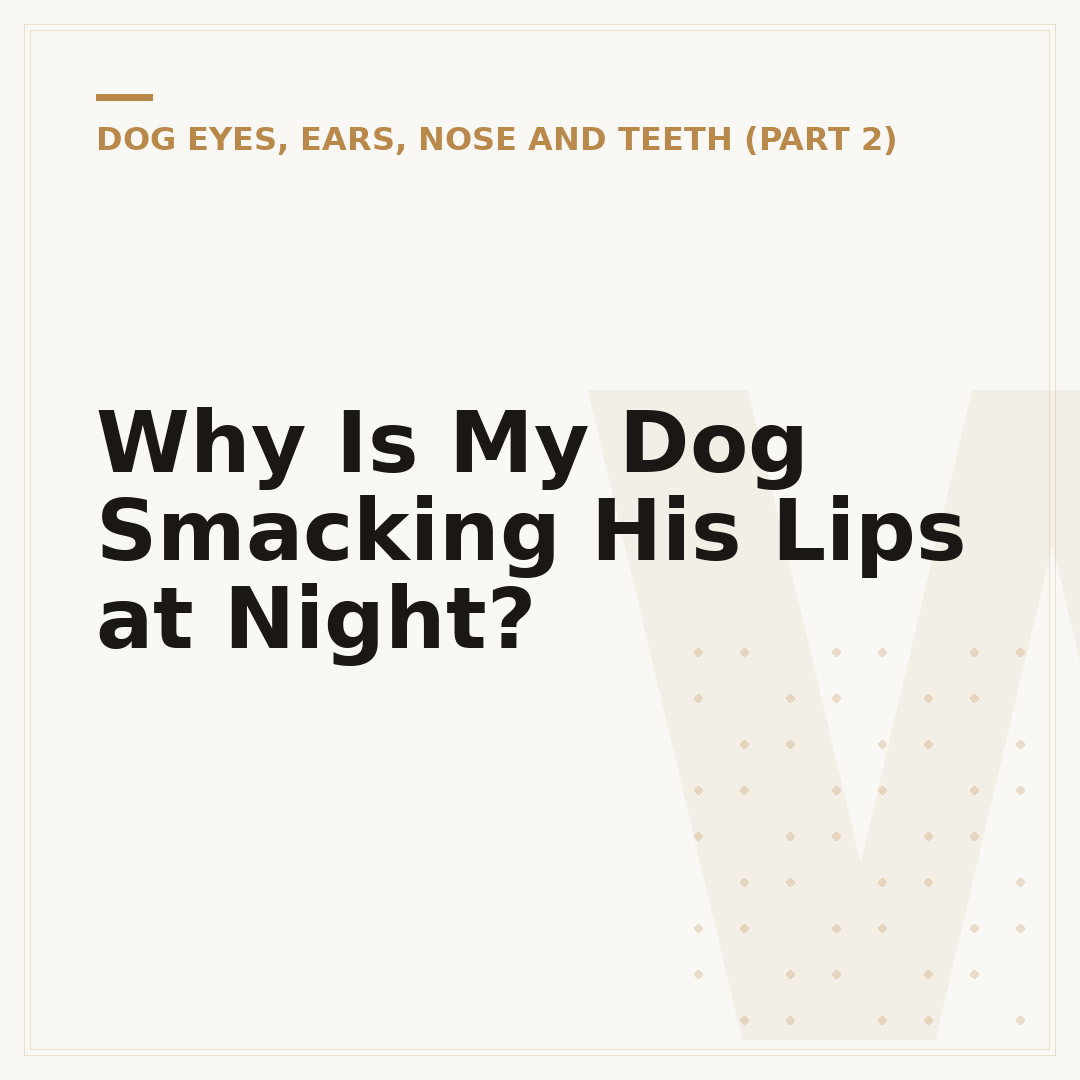 Why Is My Dog Smacking His Lips at Night?