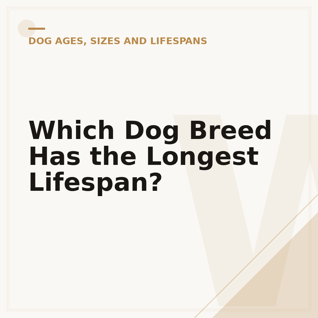 Which Dog Breed Has the Longest Lifespan?