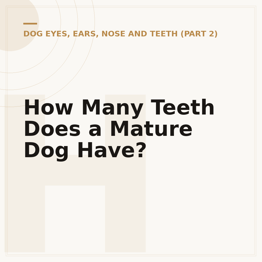 How Many Teeth Does a Mature Dog Have?