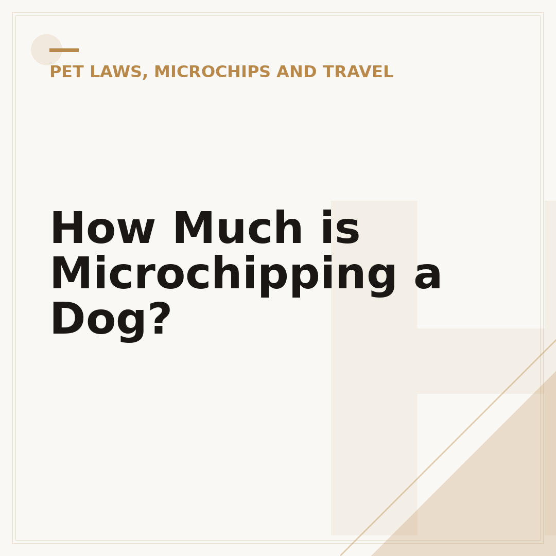 How Much is Microchipping a Dog?