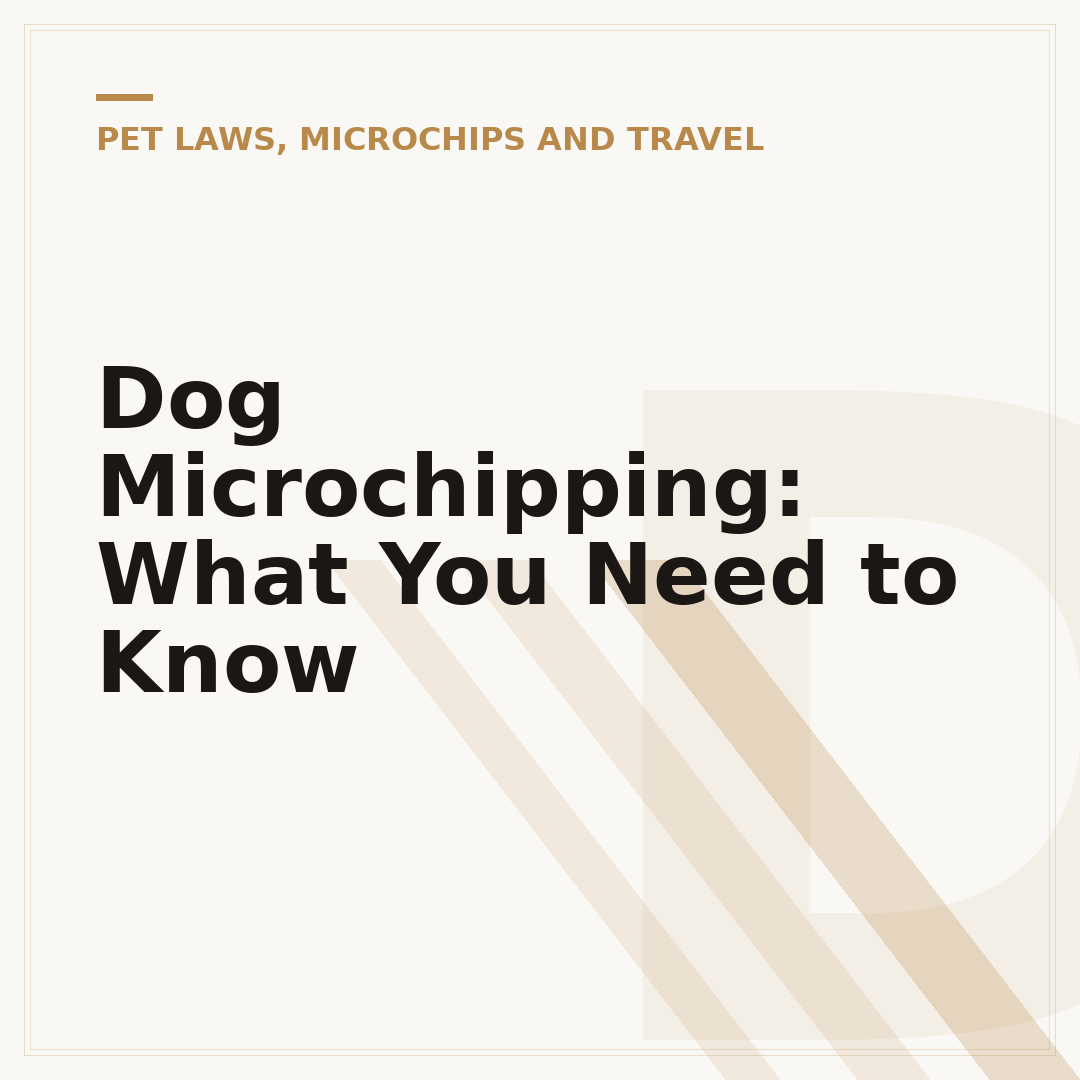 Dog Microchipping: What You Need to Know