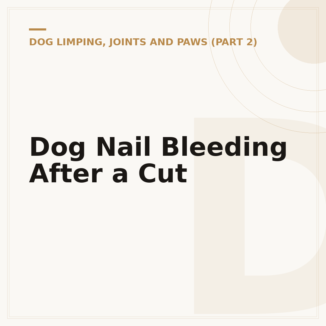 Dog Nail Bleeding After a Cut
