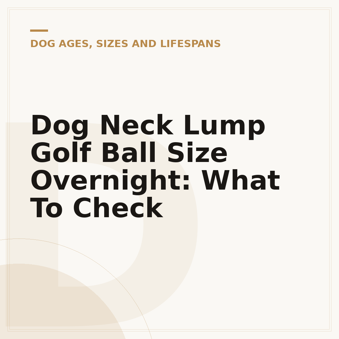 Dog Neck Lump Golf Ball Size Overnight: What To Check