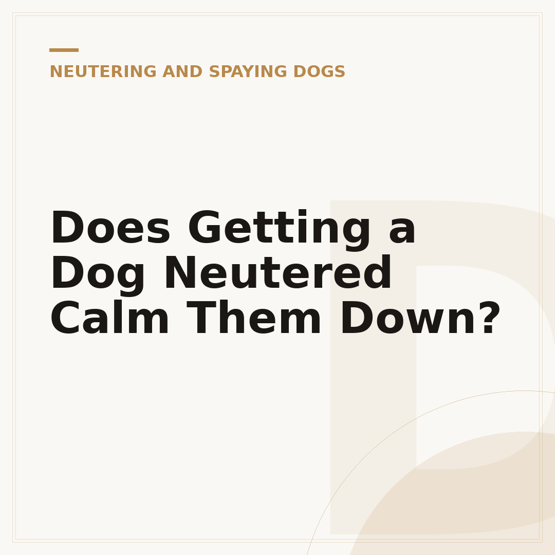 Does Getting a Dog Neutered Calm Them Down?