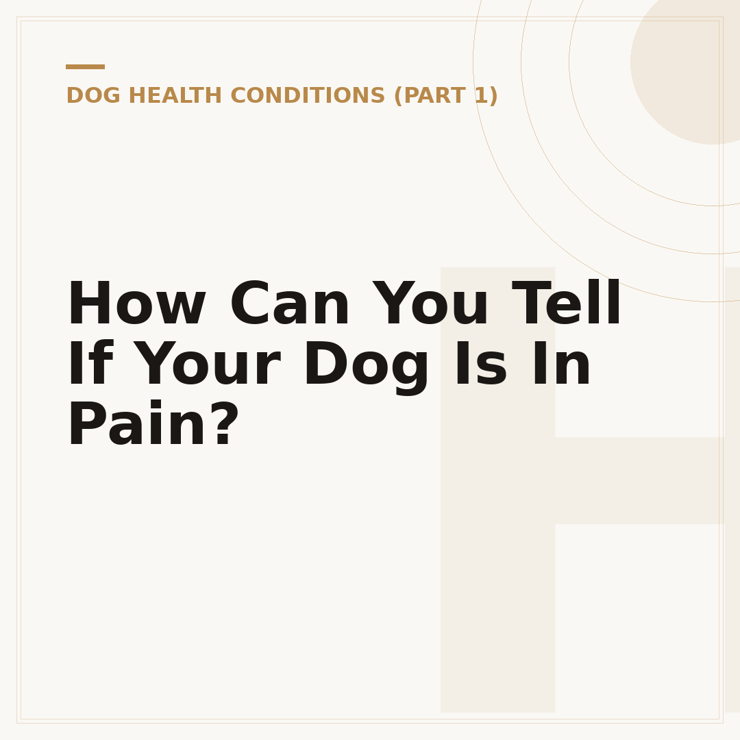 How Can You Tell If Your Dog Is In Pain?