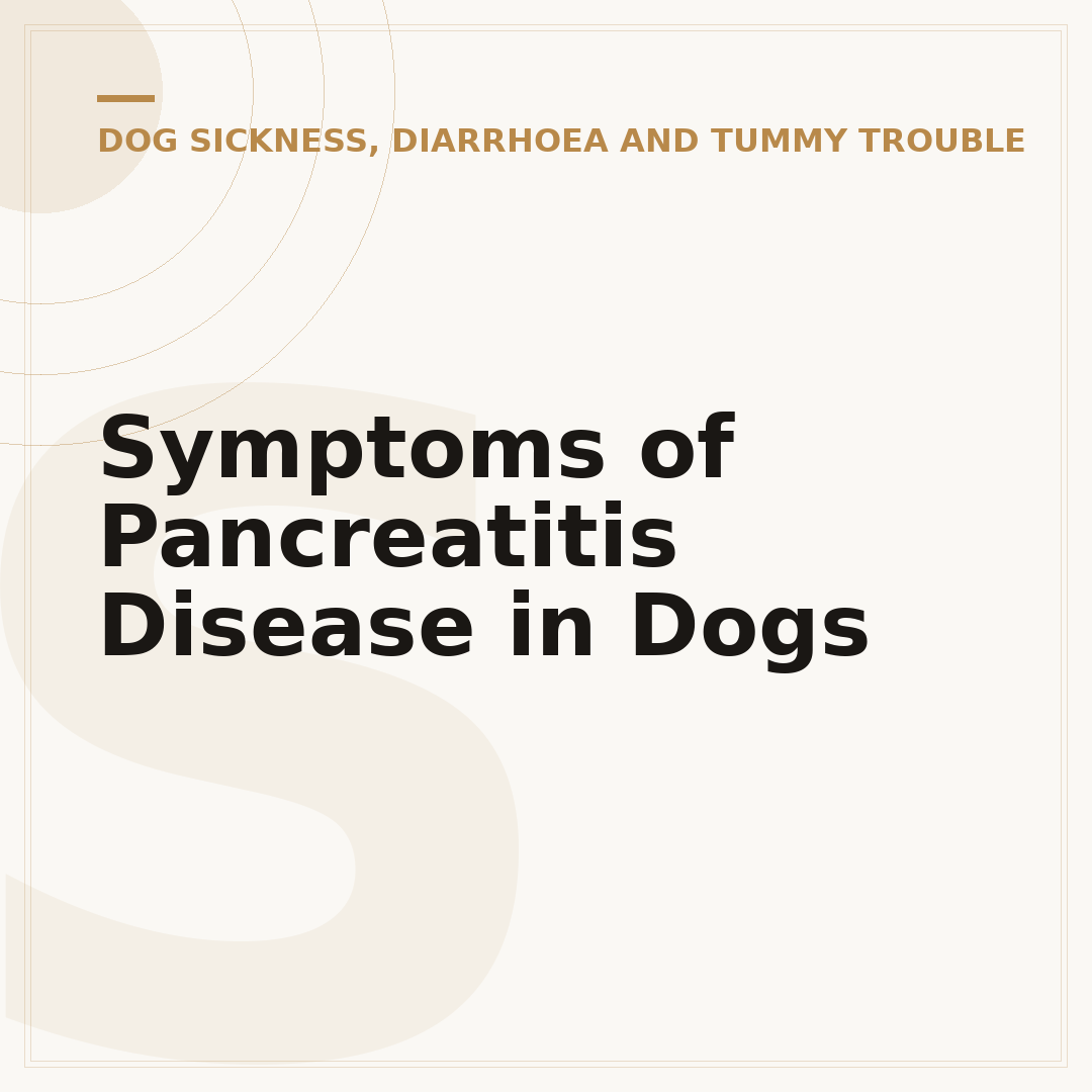 Symptoms of Pancreatitis Disease in Dogs