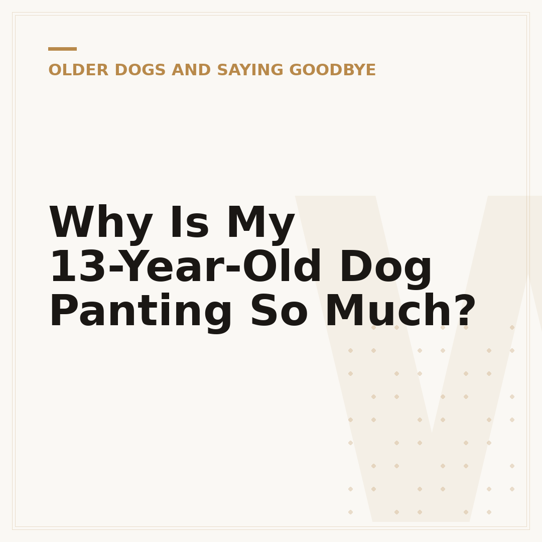 Why Is My 13-Year-Old Dog Panting So Much?
