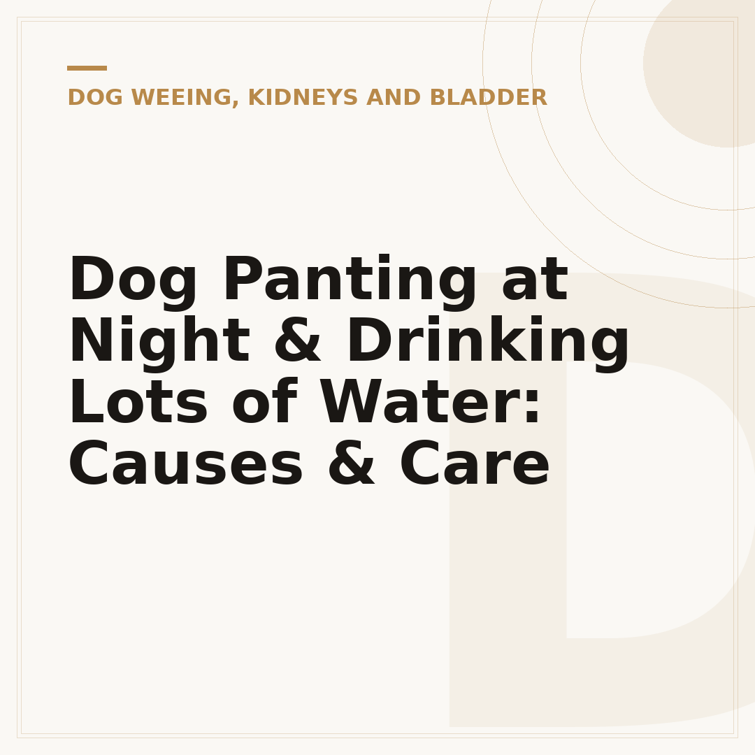 Dog Panting at Night & Drinking Lots of Water: Causes & Care