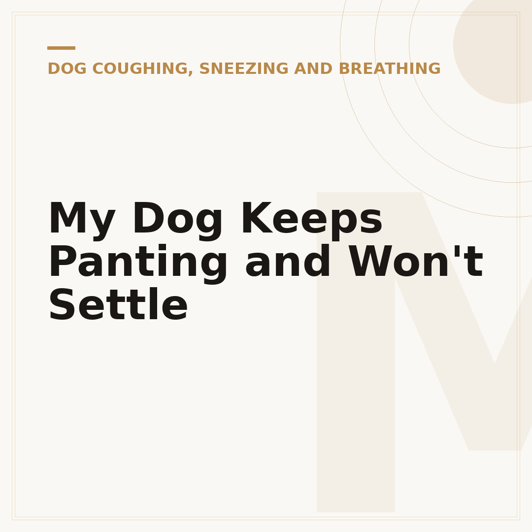 My Dog Keeps Panting and Won't Settle