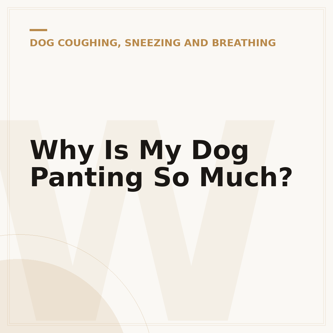Why Is My Dog Panting So Much?