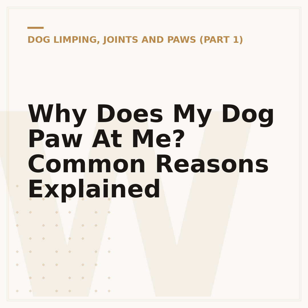 Why Does My Dog Paw At Me? Common Reasons Explained