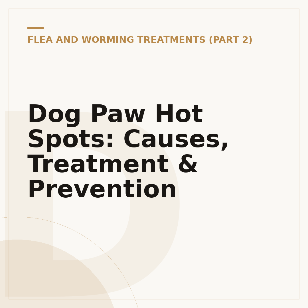 Dog Paw Hot Spots: Causes, Treatment & Prevention