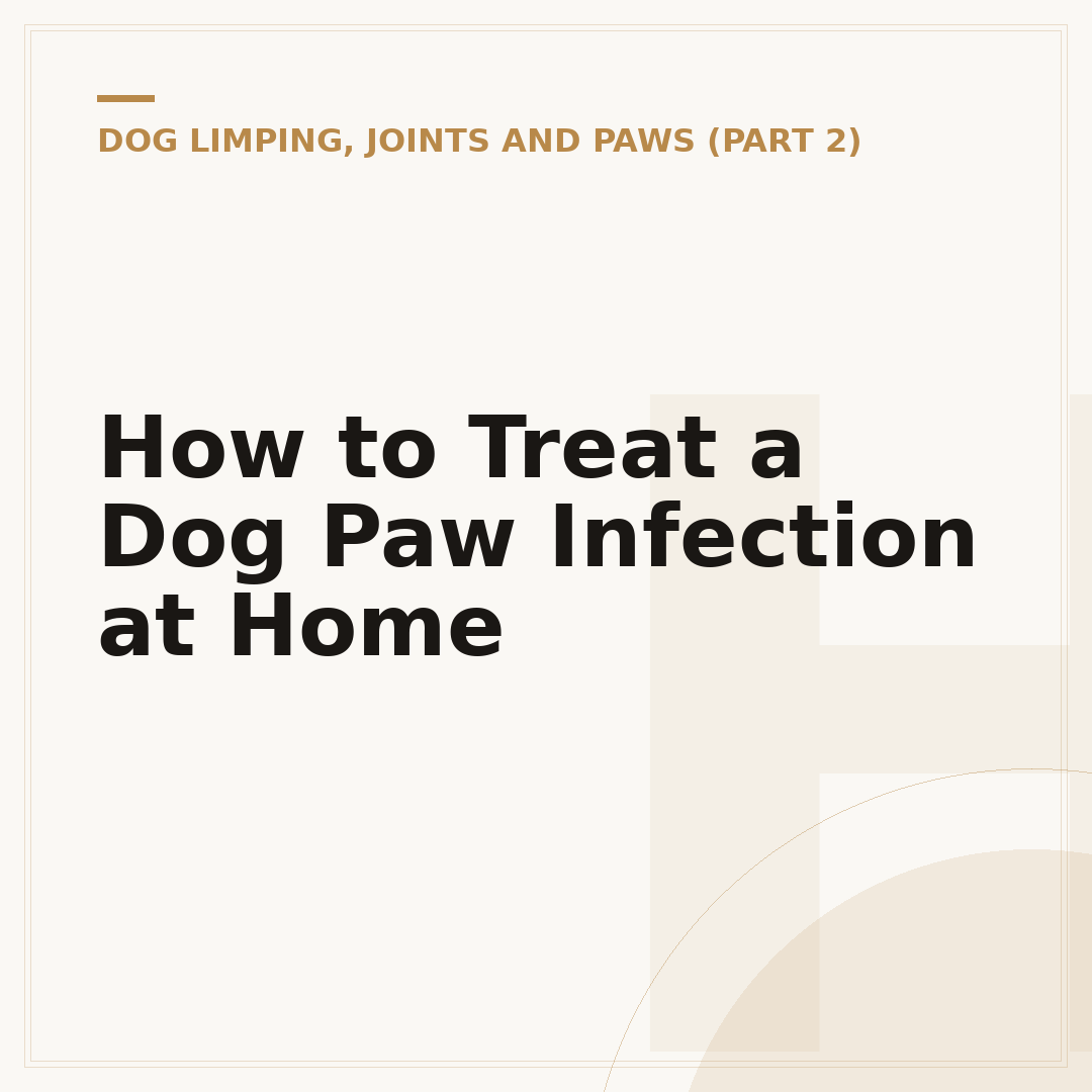 How to Treat a Dog Paw Infection at Home
