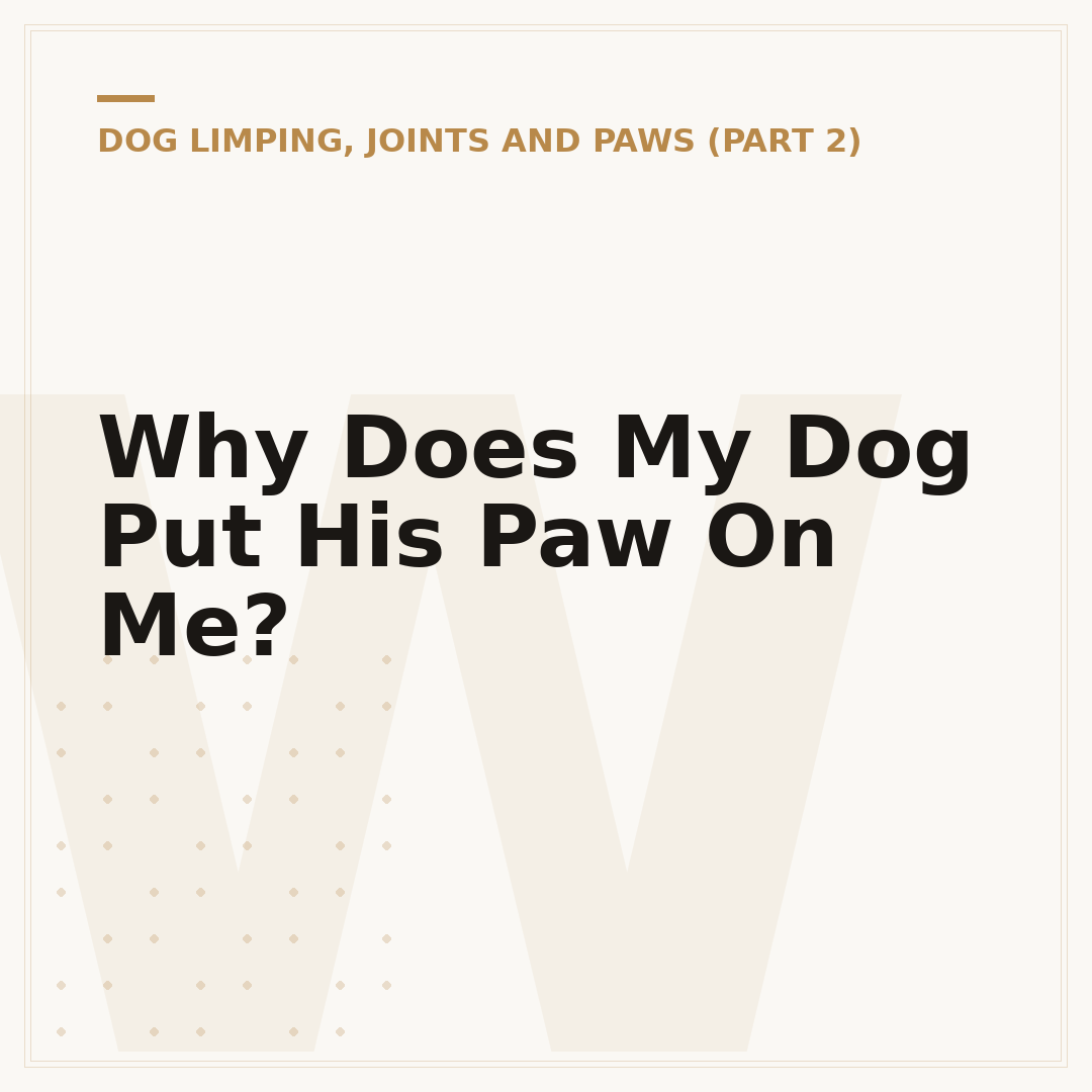 Why Does My Dog Put His Paw On Me?