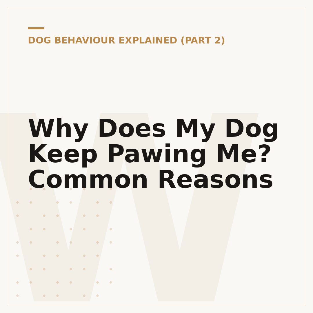 Why Does My Dog Keep Pawing Me? Common Reasons