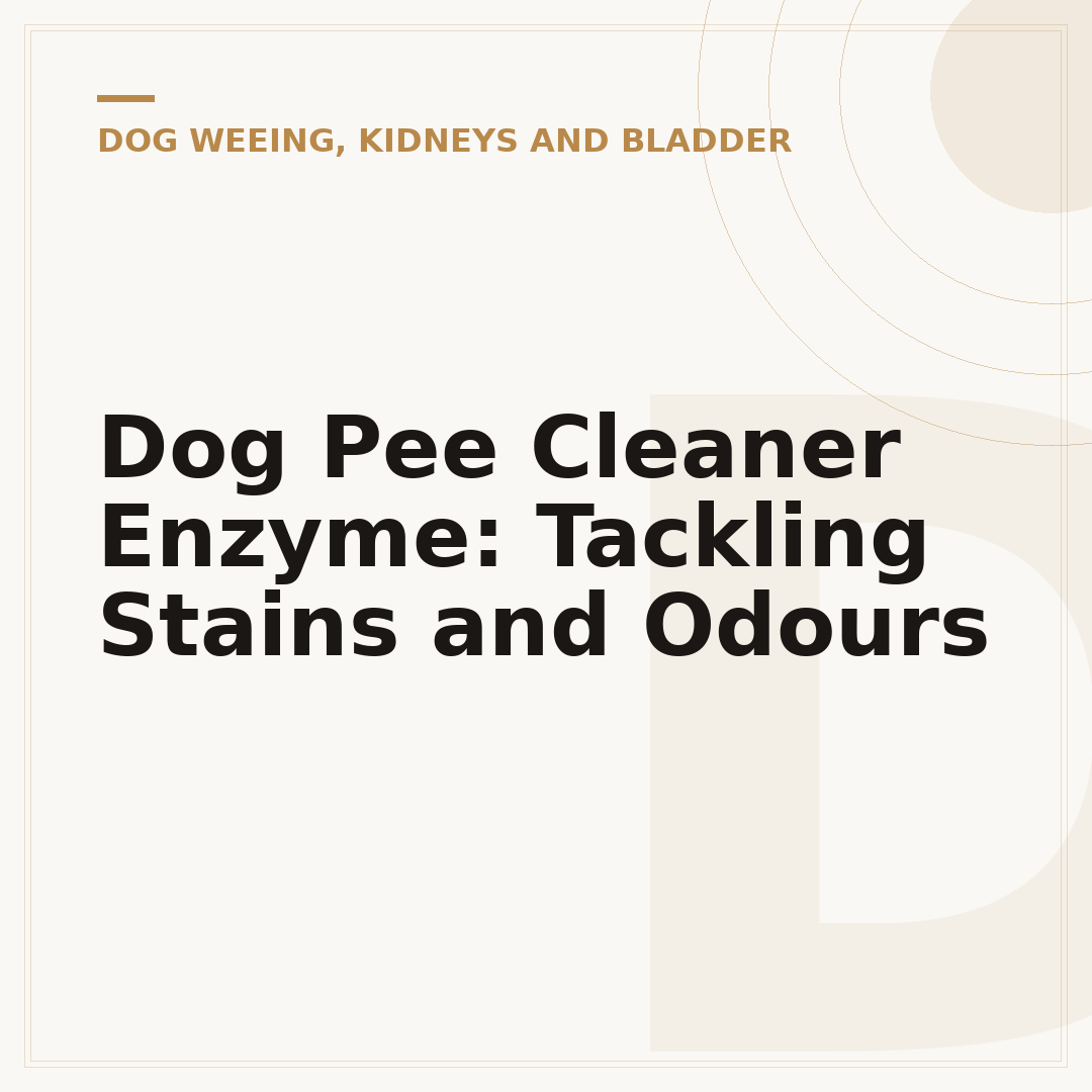 Dog Pee Cleaner Enzyme: Tackling Stains and Odours