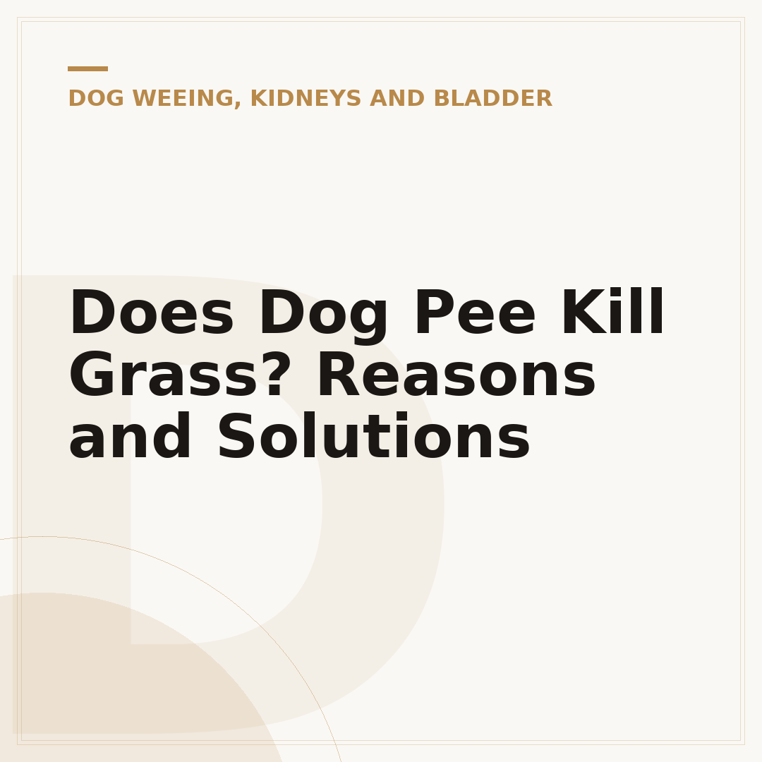 Does Dog Pee Kill Grass? Reasons and Solutions