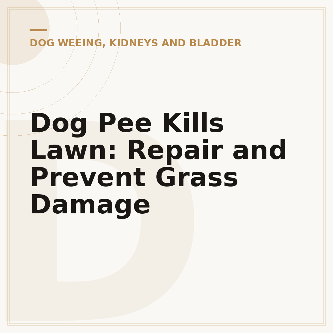 Dog Pee Kills Lawn: Repair and Prevent Grass Damage
