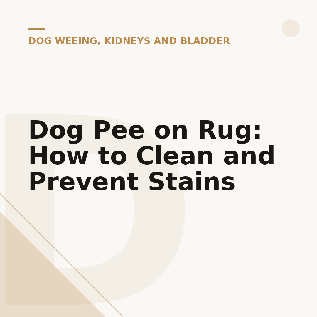 Dog Pee on Rug: How to Clean and Prevent Stains