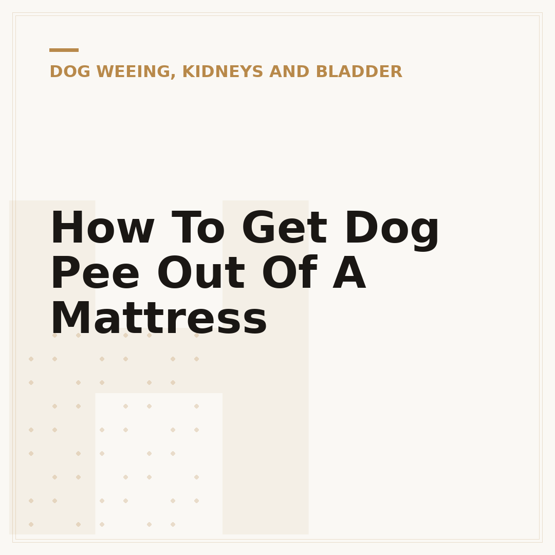 How To Get Dog Pee Out Of A Mattress