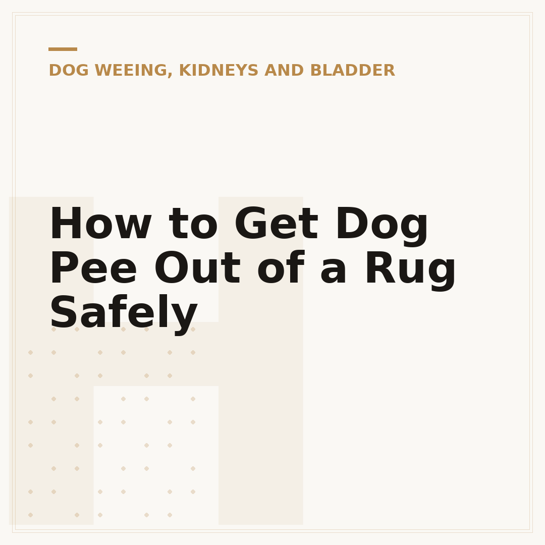 How to Get Dog Pee Out of a Rug Safely