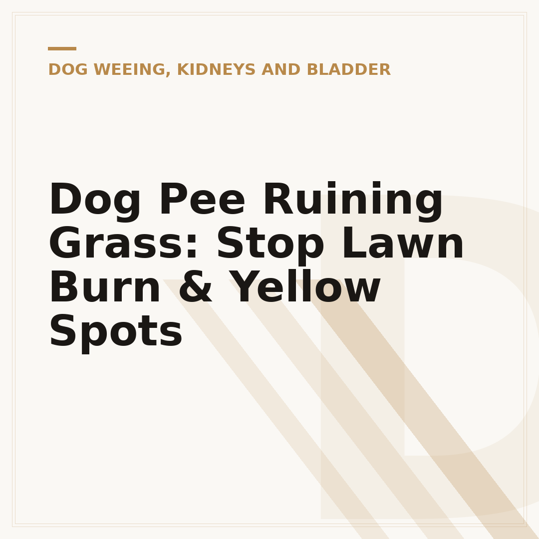 Dog Pee Ruining Grass: Stop Lawn Burn & Yellow Spots