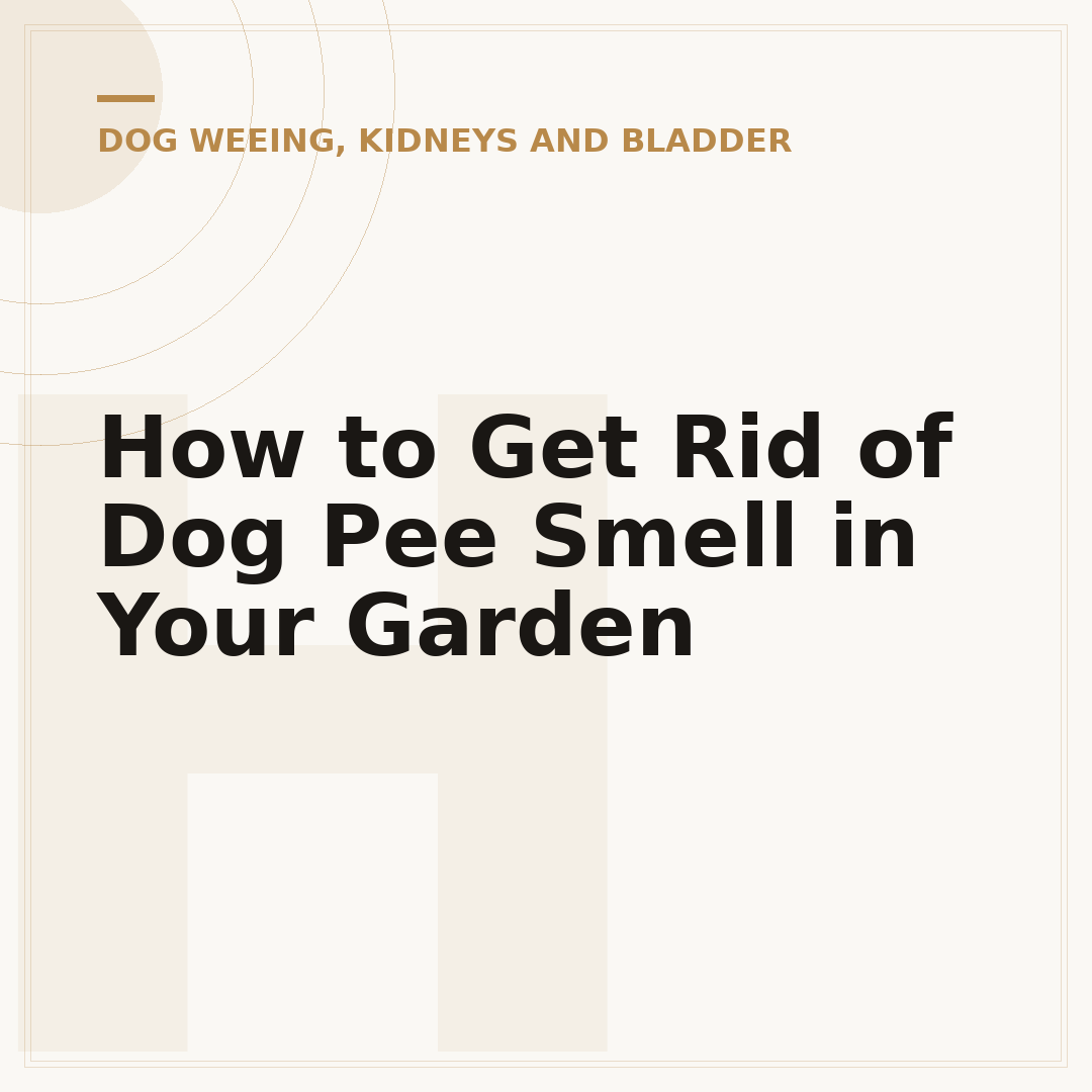 How to Get Rid of Dog Pee Smell in Your Garden