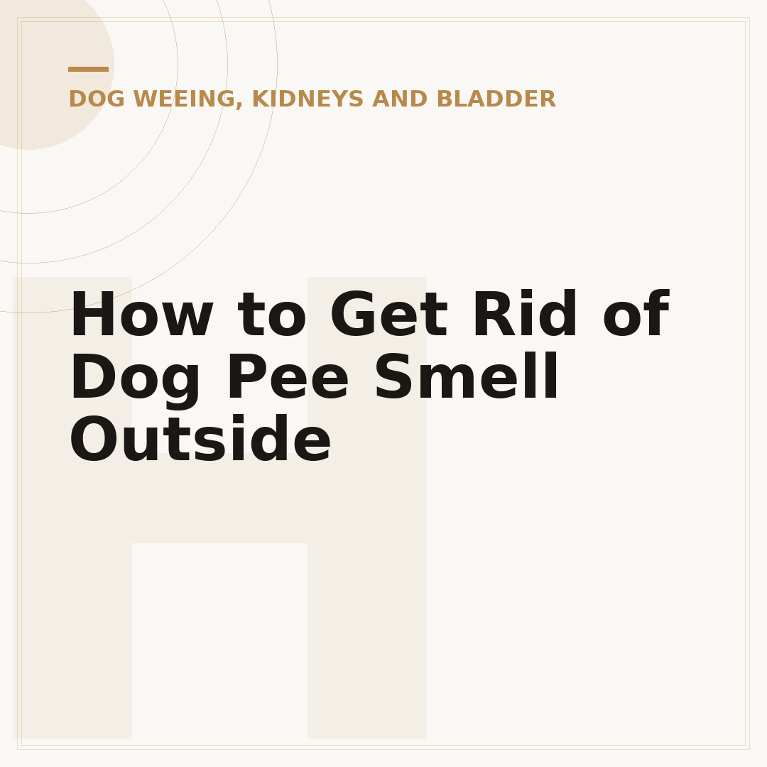 How to Get Rid of Dog Pee Smell Outside