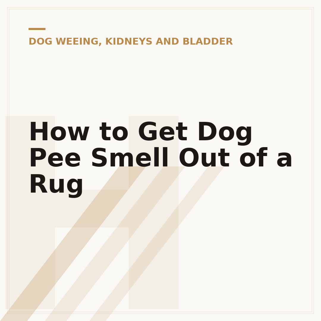 How to Get Dog Pee Smell Out of a Rug
