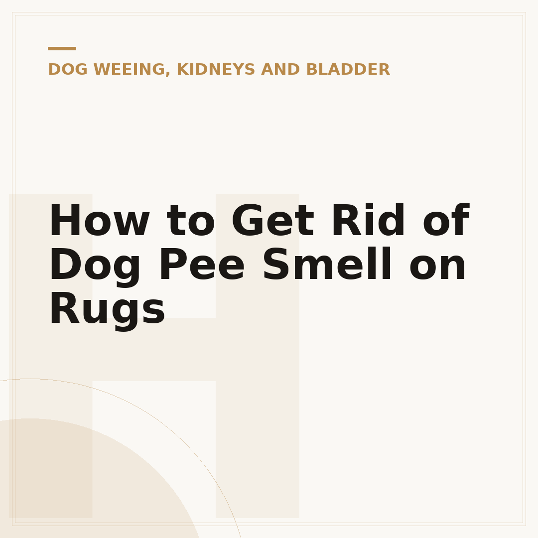 How to Get Rid of Dog Pee Smell on Rugs