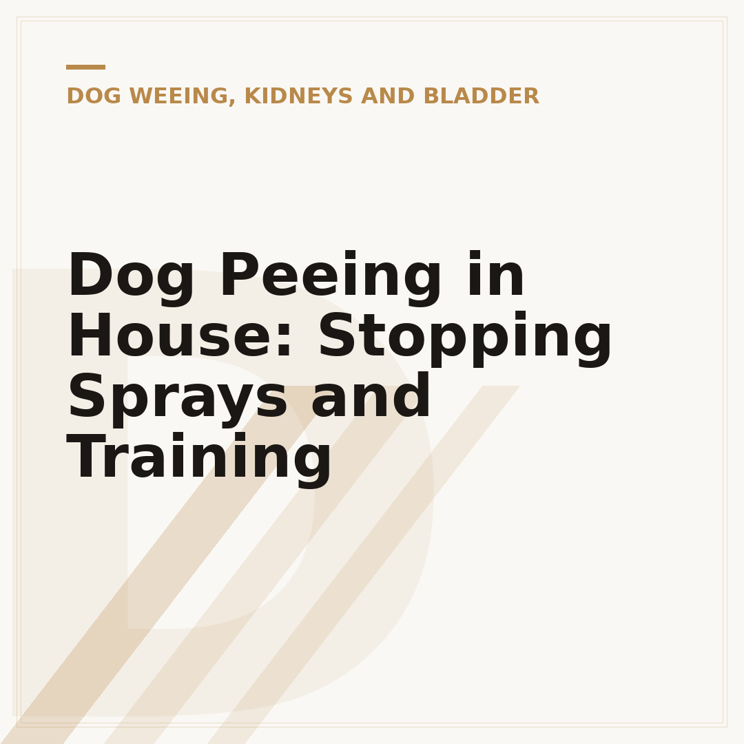 Dog Peeing in House: Stopping Sprays and Training