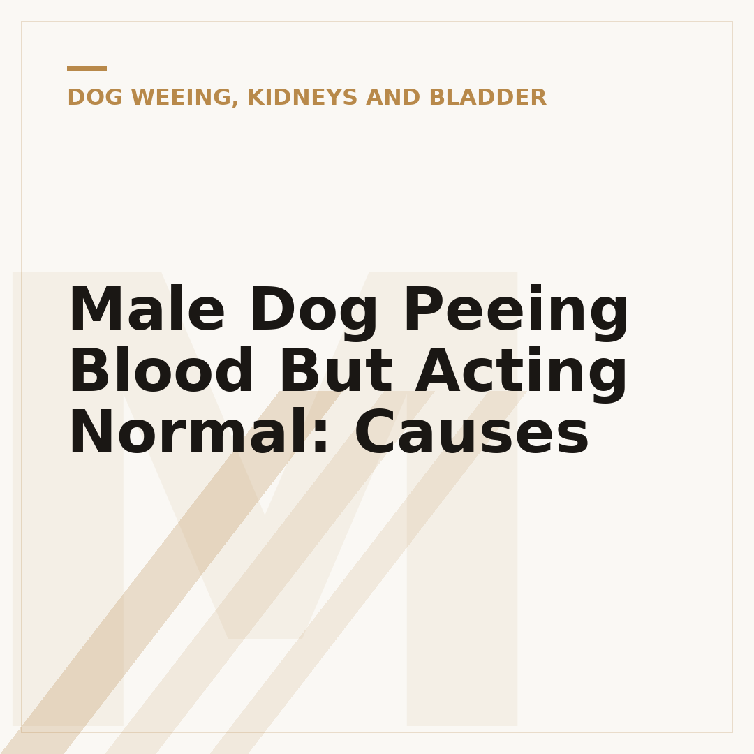 Male Dog Peeing Blood But Acting Normal: Causes