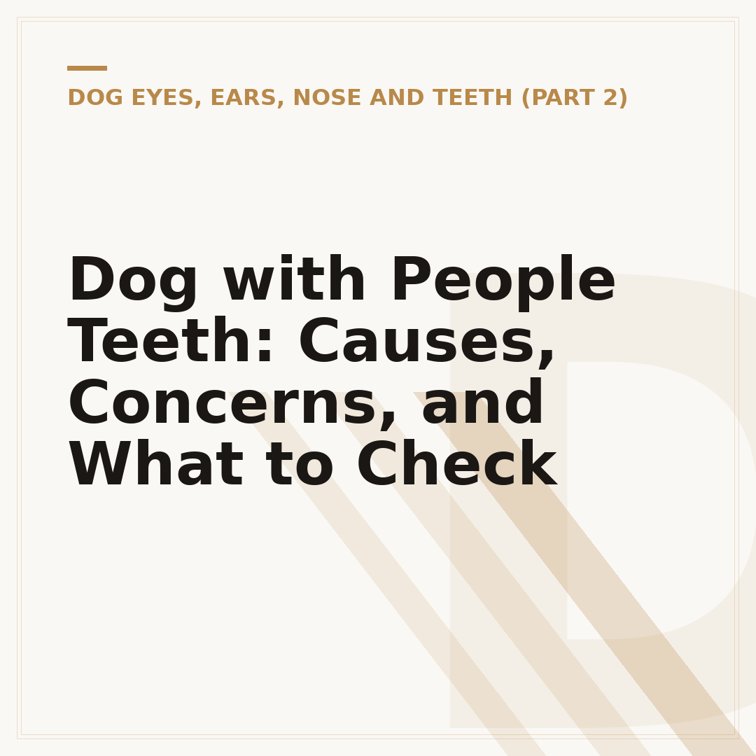Dog with People Teeth: Causes, Concerns, and What to Check