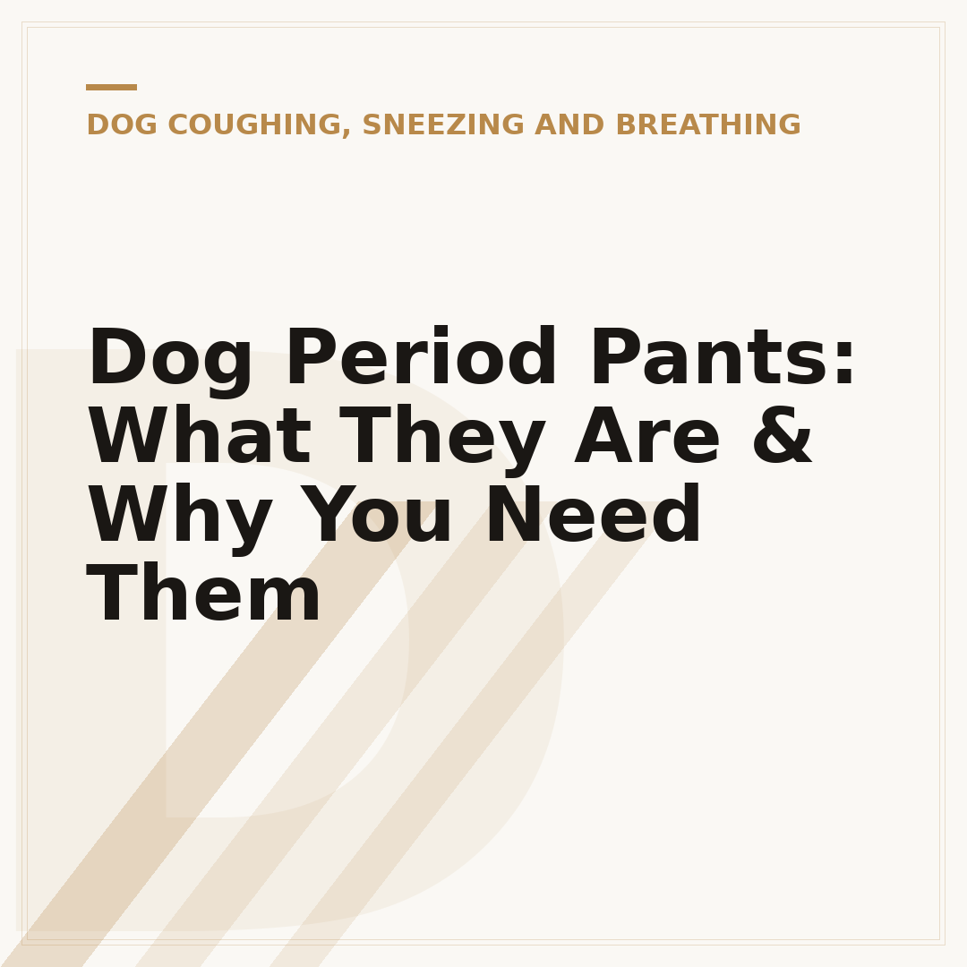 Dog Period Pants: What They Are & Why You Need Them