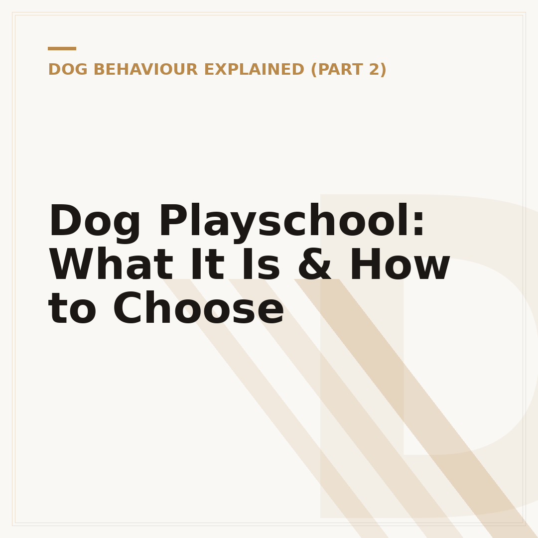 Dog Playschool: What It Is & How to Choose