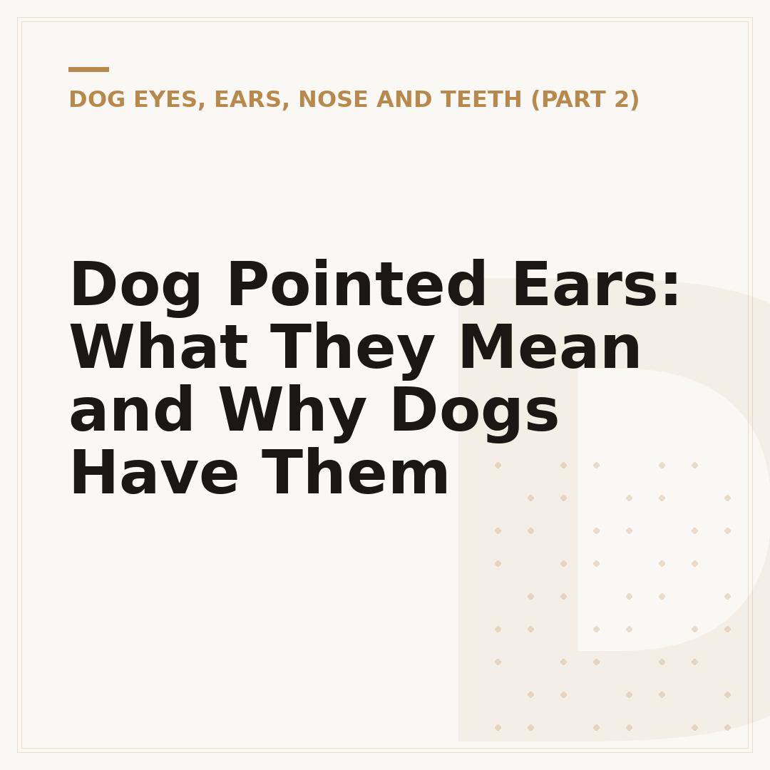 Dog Pointed Ears: What They Mean and Why Dogs Have Them