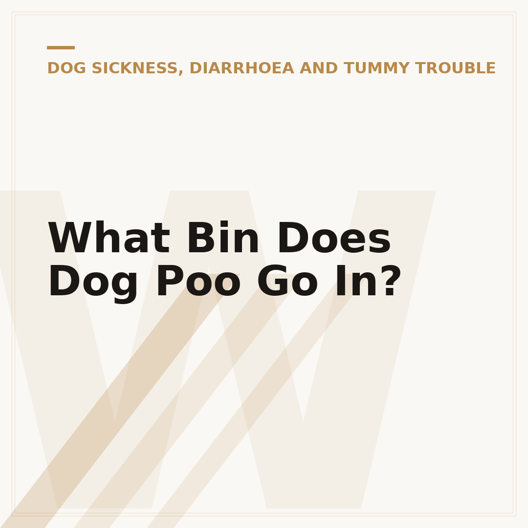 What Bin Does Dog Poo Go In?